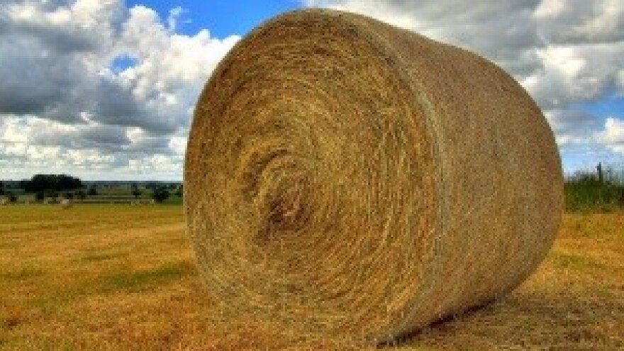 Da li je prekršen Zakon o potporama?