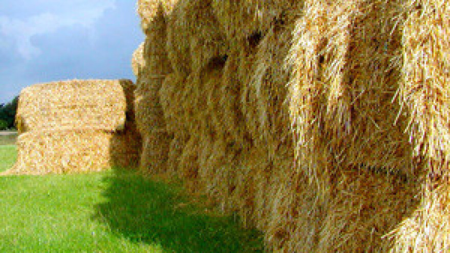 Bez prava na potpore 100.000 poljoprivrednika?