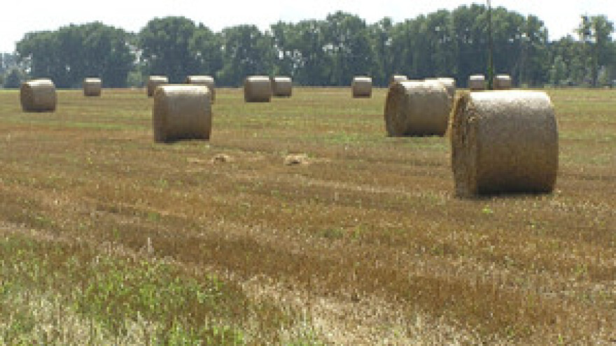 Okvirni plan IPARD natječaja u 2013. godini