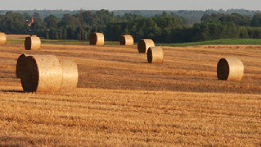 Novi zakon o poljoprivrednom zemljištu početak je reforme