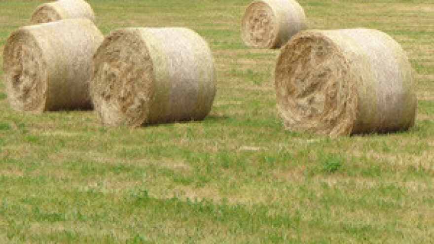 HSS o smanjenju proračuna