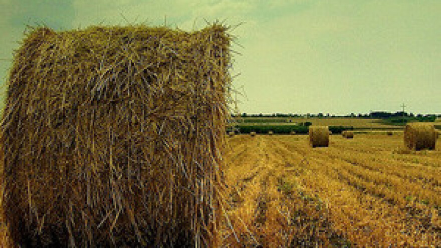 Novi EU proračun dobra vijest za poljoprivredu