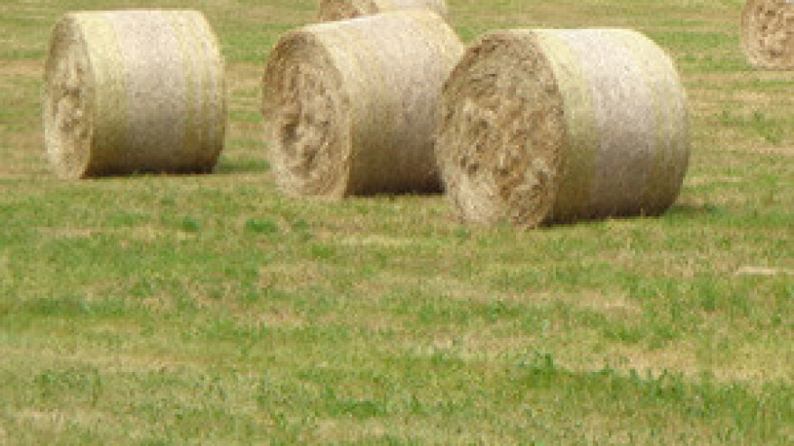 Nezavisni seljaci uputili otvoreno pismo Milanoviću