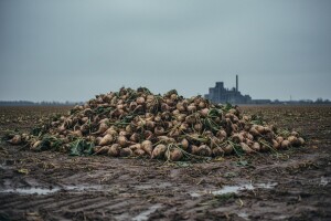 "Slatki rat" Hrvatske i Srbije