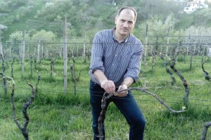 Održivi razvoj u vinogradu - plastika ili bekovina!?
