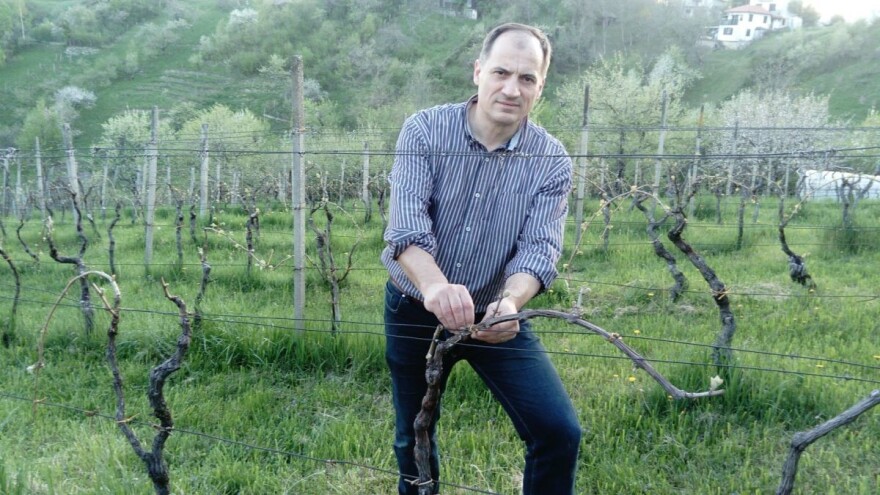 Održivi razvoj u vinogradu - plastika ili bekovina!?