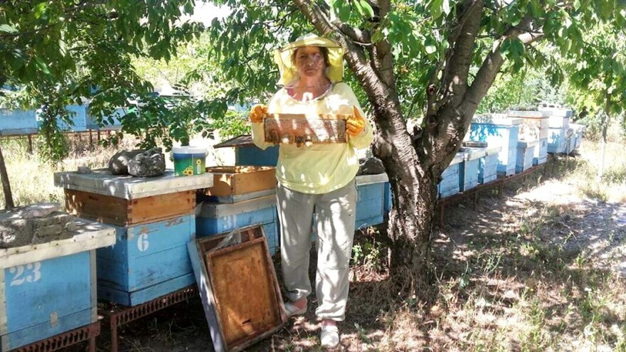 Pčelarka Slavka otkriva kako pravi vrhunski med - tajna je u ispaši