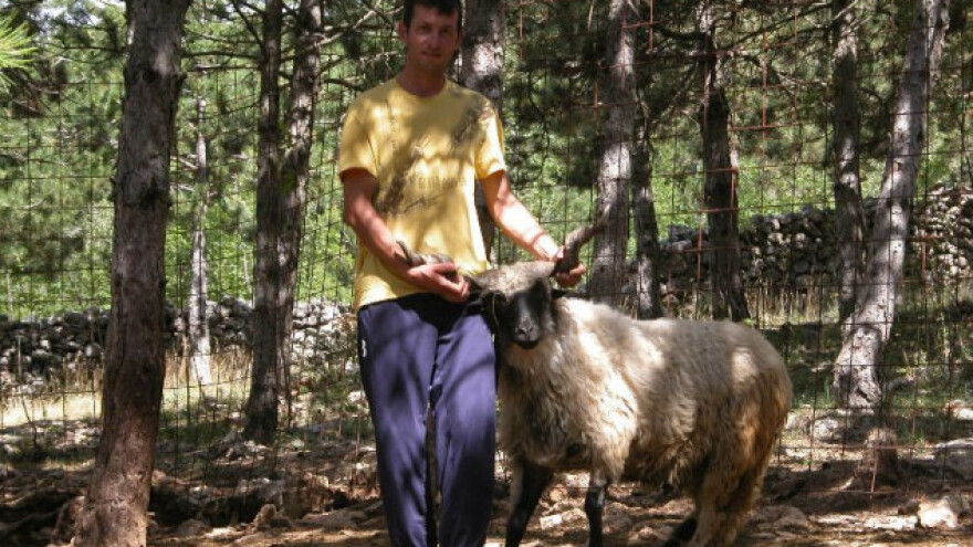 Na selu se može dobro živjeti, samo da nam dopuste