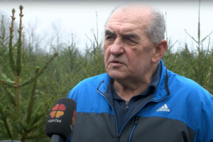Slavko Leko: Naši borovi koštaju 100 do 200 kuna, a cijenom smo zadovoljni