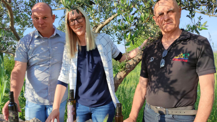 Pakoštanski zlatni trio: Maslinari Vulin, Lalin i Čudina častili za uspjeh u New Yorku