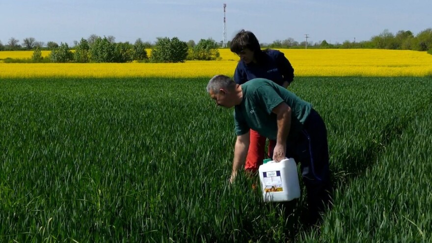 Ivo Kelić: Slavol koristim za prihranu na 200 ha, usjevi su stabilni i otporni