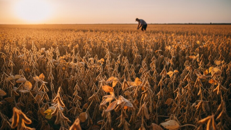 Slavonci i Baranjci proizvodit će ekološku soju za zemlje EU