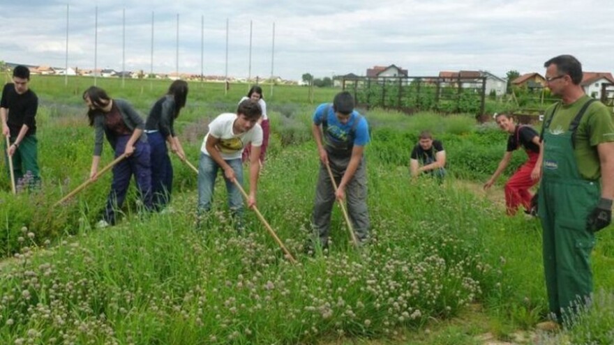 Prodaju plodove iz školskog vrta i dobro im ide!