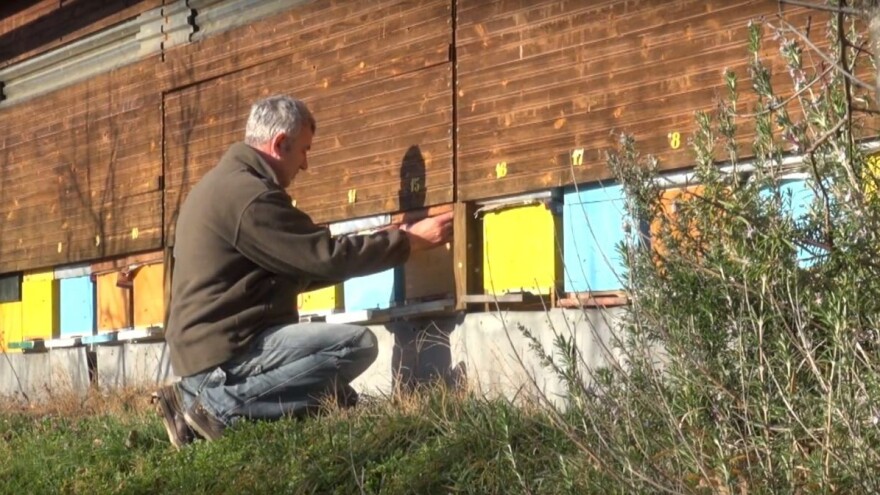 Slavonski med obuhvaća sedam vrsta, a sada na tržište ide zaštićen na razini EU