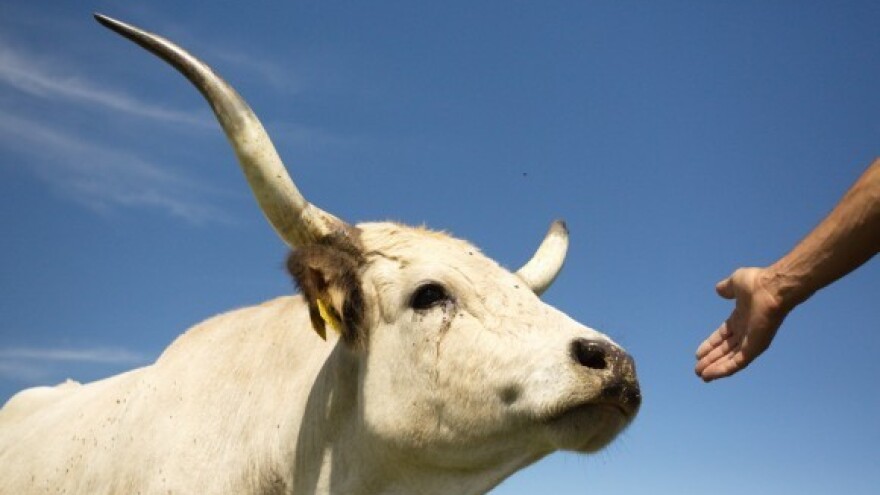 Podrška ruralnom razvoju i tradicijskoj raznolikosti!