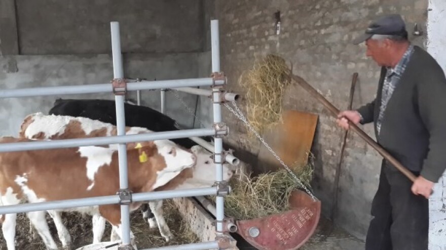 Sremci se vraćaju stočarskoj proizvodnji