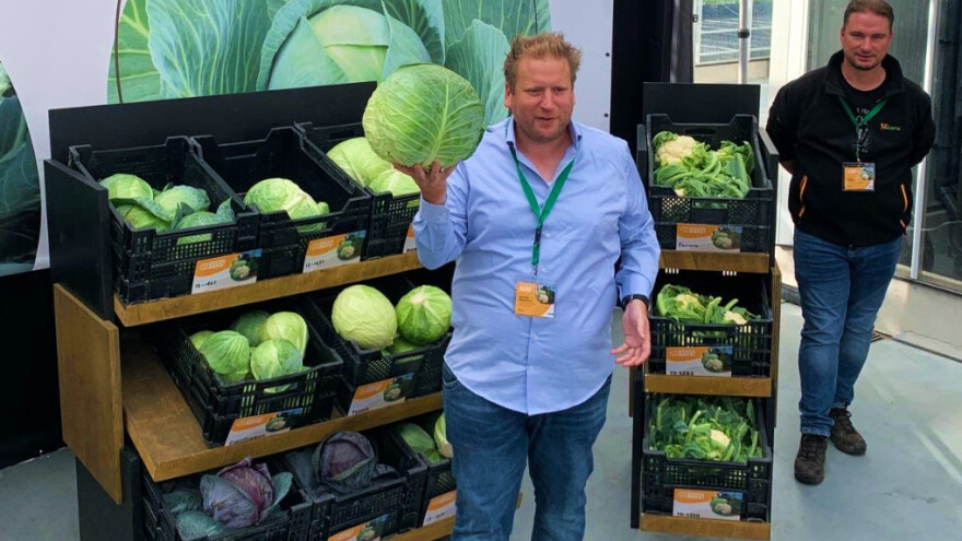 Koje hibride i gnojiva koriste proizvođači povrća u Nizozemskoj?