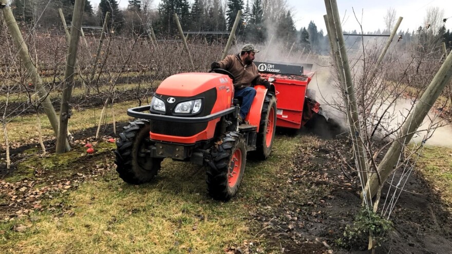 Na koje načine đubriti pojedine voćne vrste?
