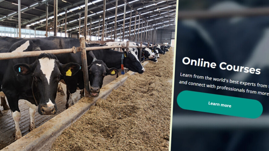 Kravlji nutricionizam: Besplatni online časovi o ishrani muzara