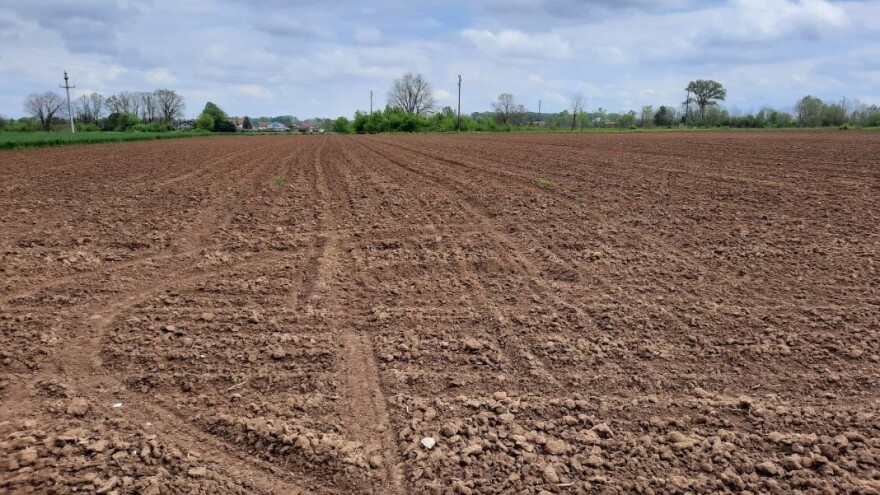 Sjetva soje i kukuruza - na šta obratiti pažnju?