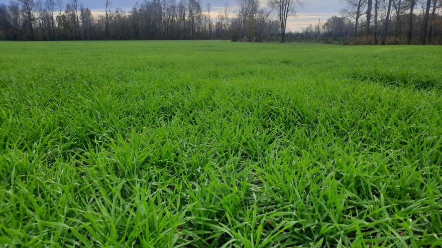 Pojedine regije su već spremne za prihranu ozimih usjeva