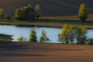 I poljoprivrednici ušli u novu godinu
