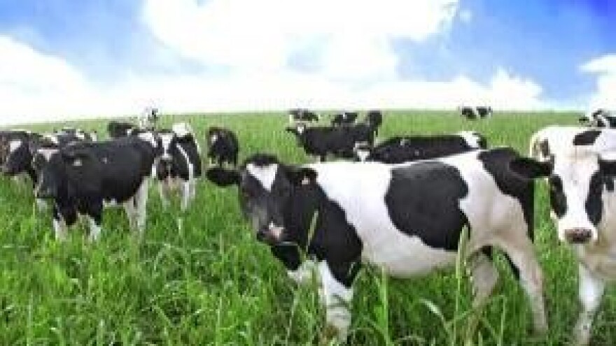 Poziv na predstavljanje zadružne mljekare iz Austrije