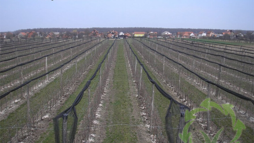 Kalcifikacija plantažnih nasada jabuka