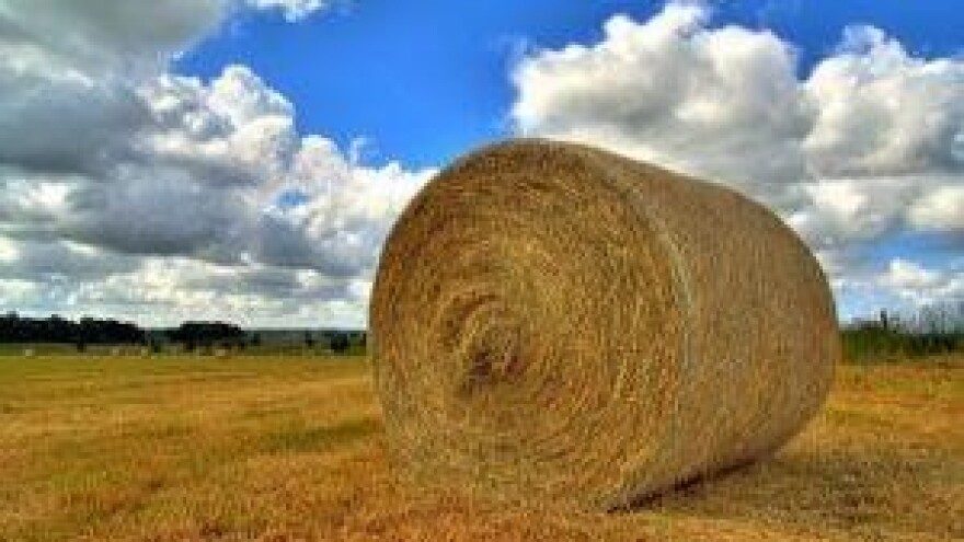 Završen drugi dio isplata potpora