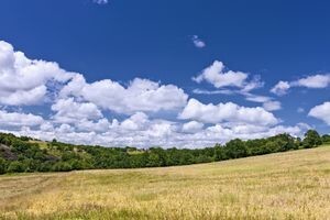 Otvorenje skupa "Poljoprivreda u zaštiti prirode i okoliša"