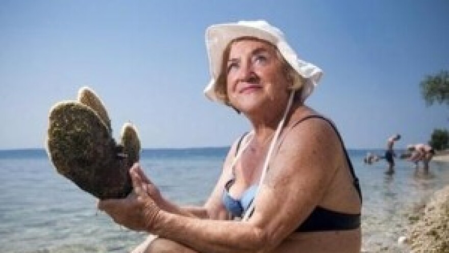 Čisto more u Kaštelima iznjedrilo perisku