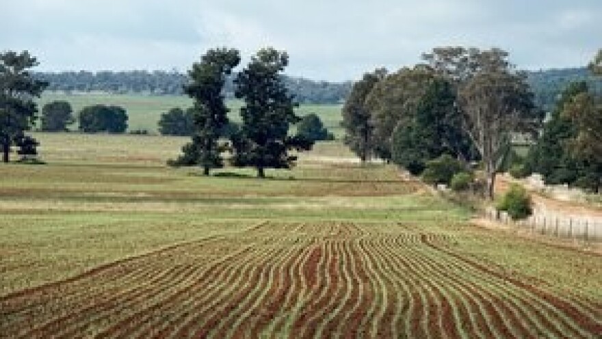 Tradicijom usprkos krizi - može li se?