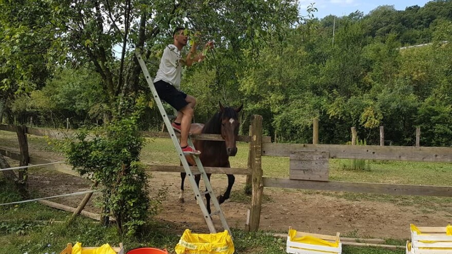 Vrijedna suradnja: mladi beru voće, korisnici Doma za odrasle pravit će džem