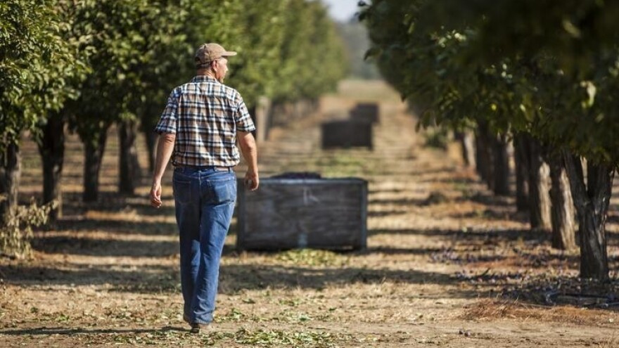 Zakon ne dopušta razvoj domaće ponude OPG-a