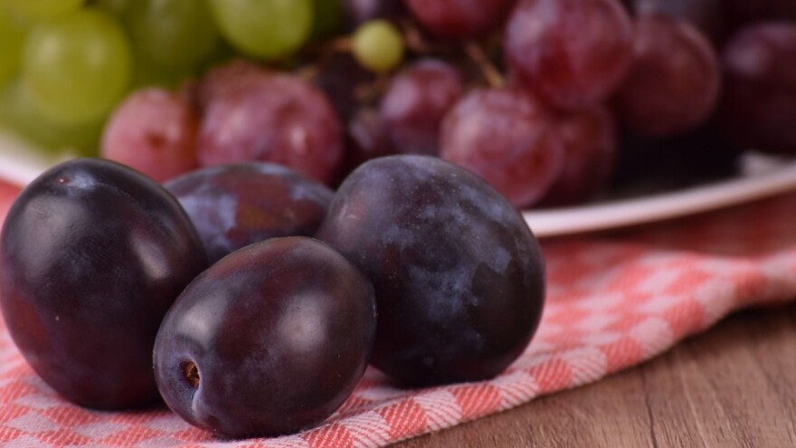 Traju pripreme za 45. sajam šljive u Gradačcu koji će vrviti zanimljivim događanjima!