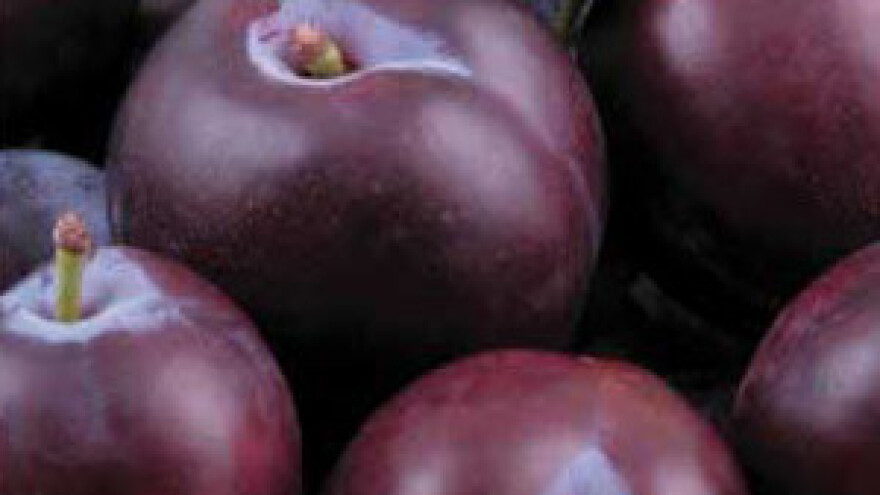 Proizvodnju rakije treba prijaviti do 20. siječnja