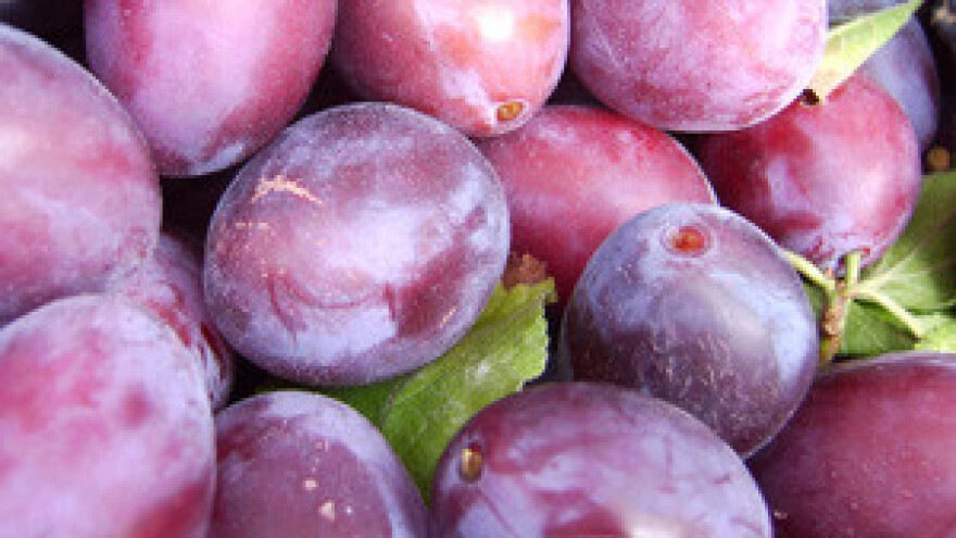 Okrugli stol o trošarinama i njihovom utjecaju na proizvođače rakije