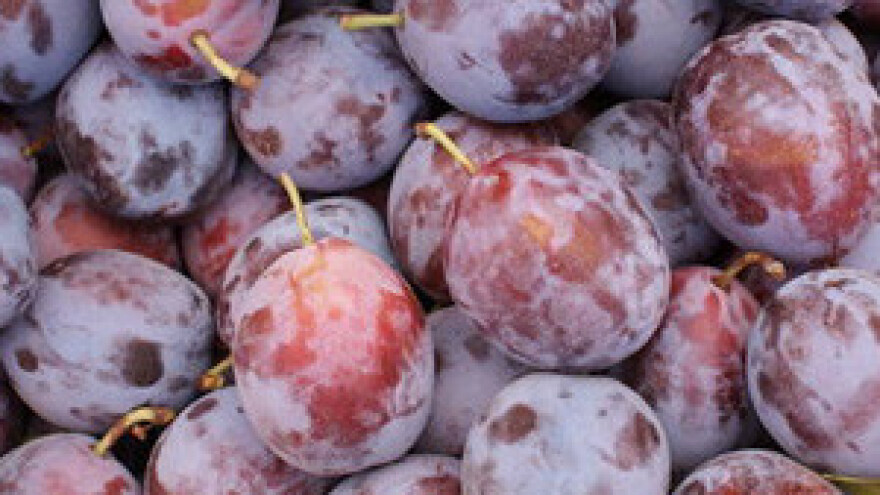 Tihomir Jakovina na Sajmu šljive u Gračacu