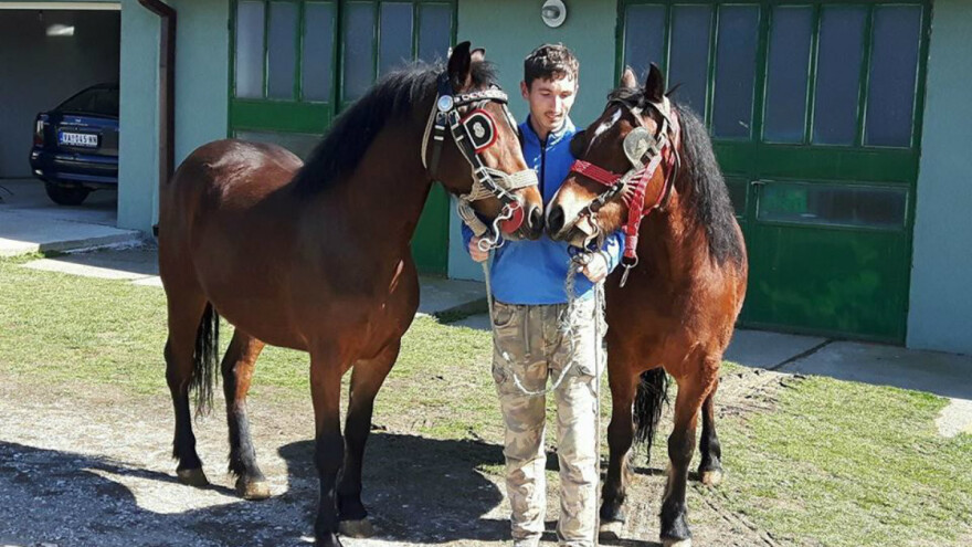 Mlečno govedarstvo i konji izbor mladog Slobodana Ranisavljevića