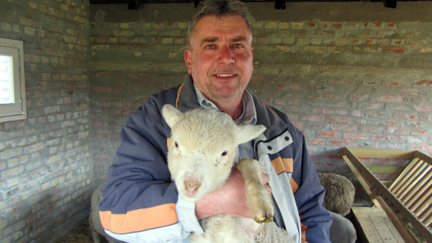 Uz ovce u bolju budućnost