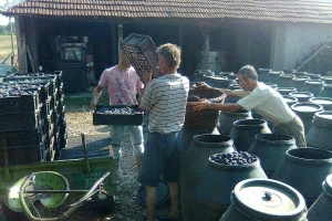 Zlatna lula osvojila jug Srbije, a poznata je i u Južnoj Koreji