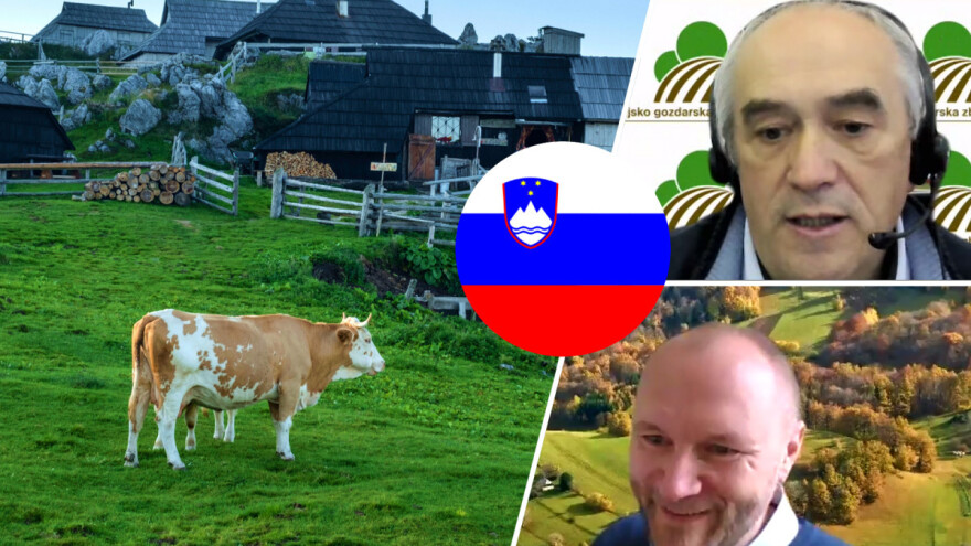 Udruživanje i dopunska delatnost ključ su uspešnog slovenačkog PG-a