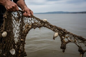 Sluz na ribarskim mrežama