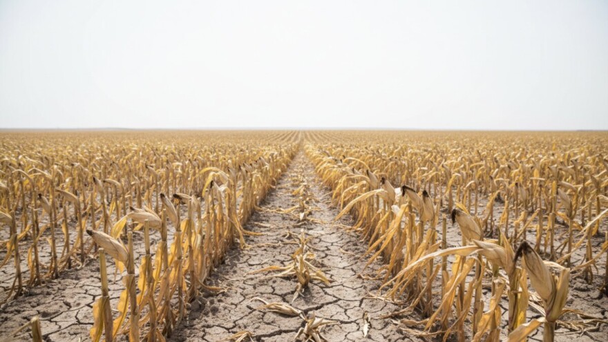 Smanjene zalihe stočne hrane