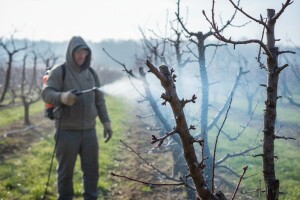 Smanjite gljivične infekcije u nasadima
