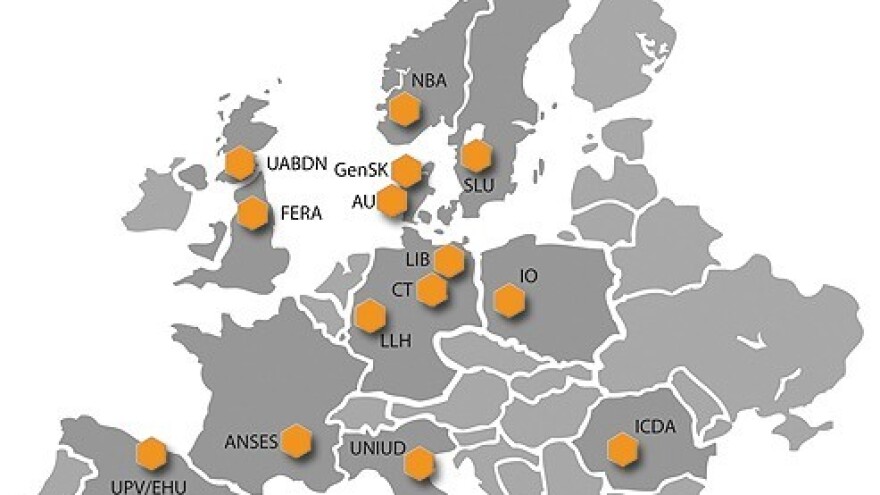 SmartBees - gajenje pčela povećane vitalnosti?