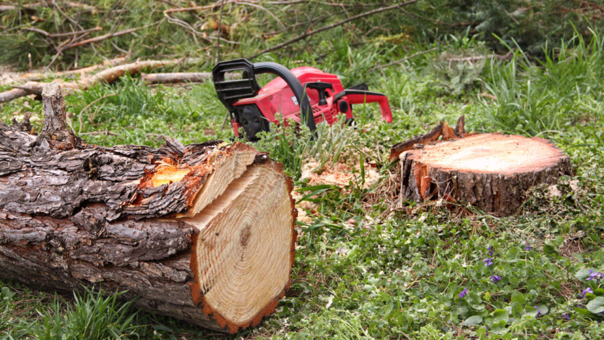 Smetala za parking? Pilao stabla Hrvatskih šuma pa zablokirao državnu cestu