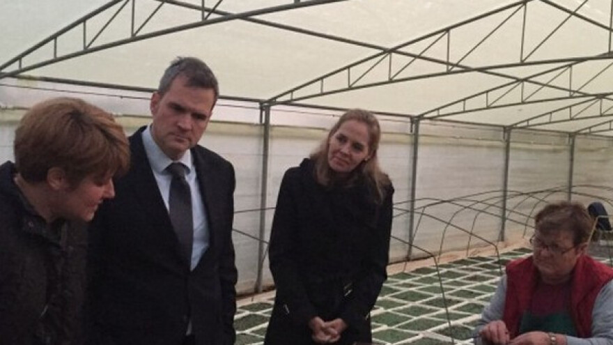 Lokalne žene proizvode sadnice smilja i destiliraju ulje