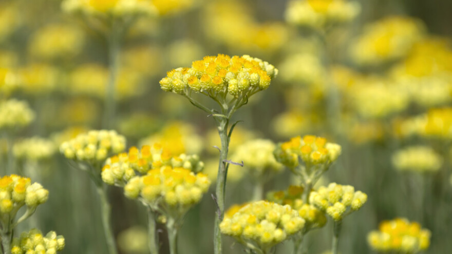 Besplatni poslovni susreti za unapređenje agrobiznisa