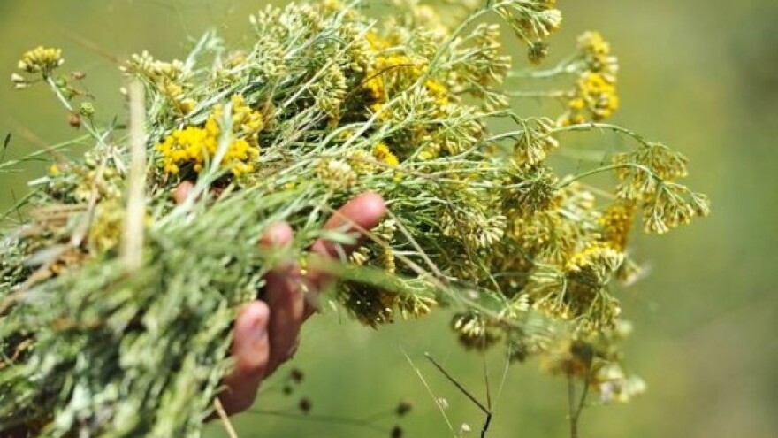 Ne dajte smilje za tri KM!